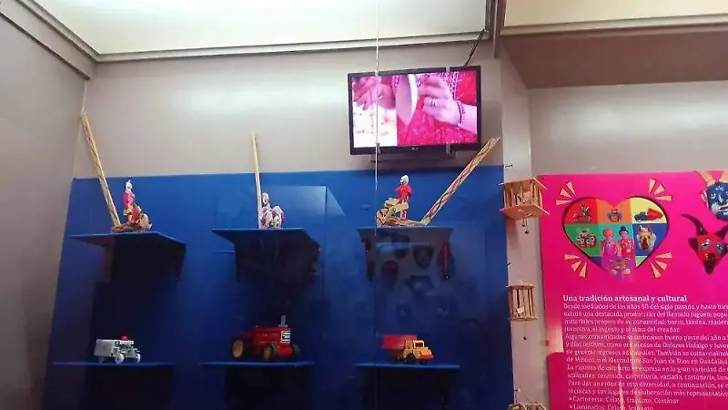 Un video narrativo en donde se explica la trayectoria de Lisandra para recaudar estos elementos y estudiarlos se encuentra en la sala.